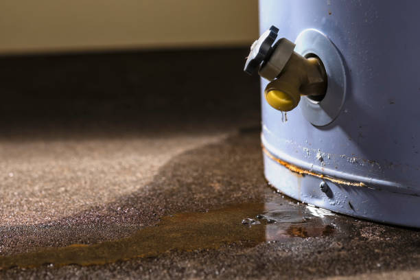 Best Water damage restoration near me  in Tremonton, UT