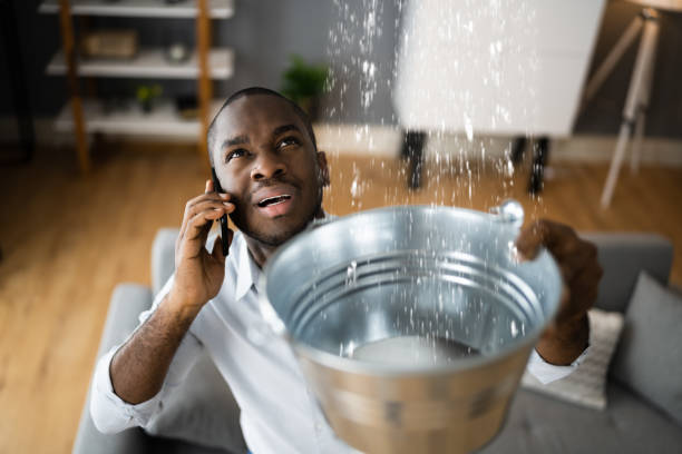 Best Professional water damage repair  in Tremonton, UT