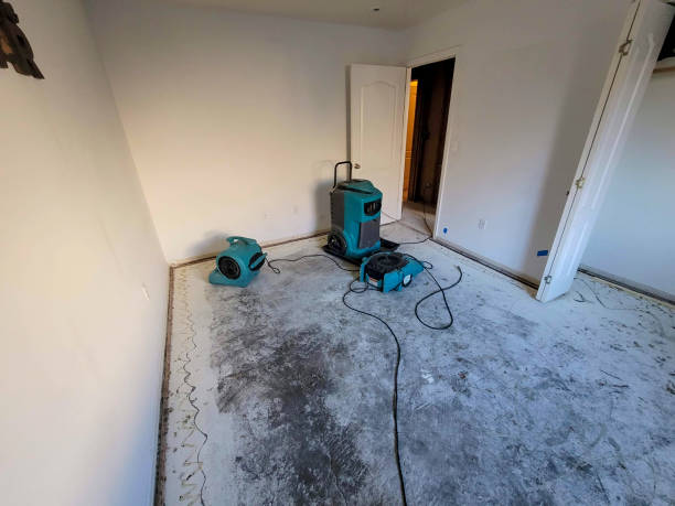 Best Emergency water damage restoration  in Tremonton, UT