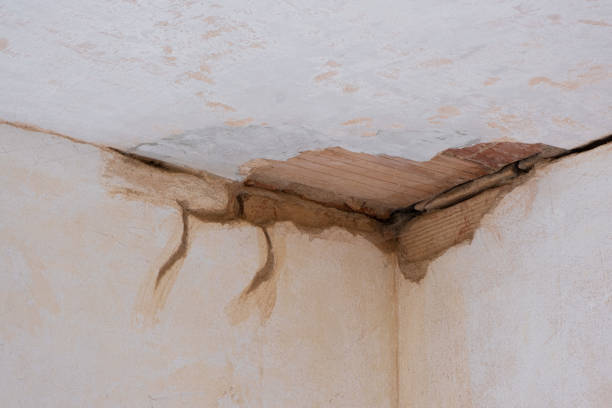 Best Flood restoration services  in Tremonton, UT