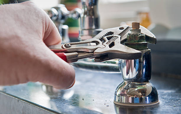Best Local water damage restoration  in Tremonton, UT