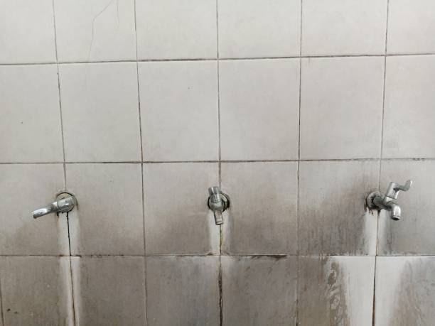 Best Basement water damage restoration  in Tremonton, UT