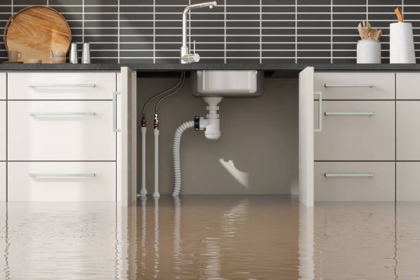  Tremonton, UT Water damage restoration Pros
