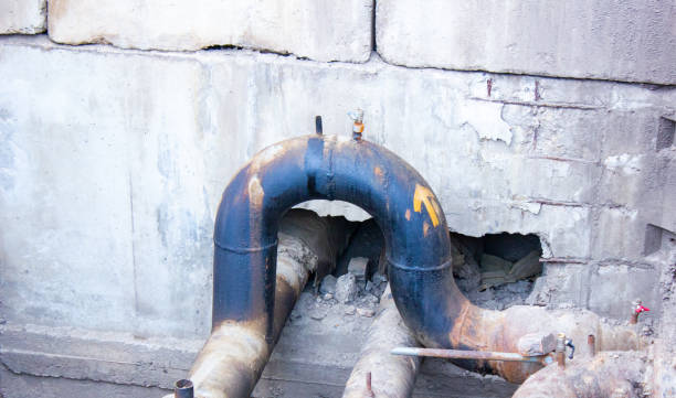 Best Local water damage restoration  in Tremonton, UT